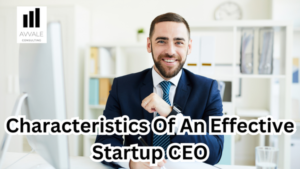 Characteristics of an effective startup CEO