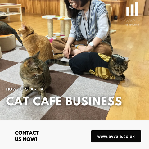 business plan cat cafe