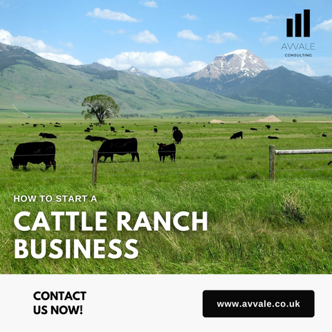 How to start a cattle ranch business plan template