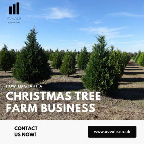 How to start a Christmas Tree Farm Business Plan Template