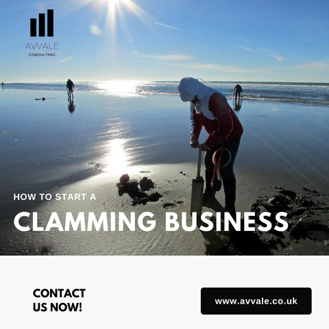 How to start a clamming business plan template