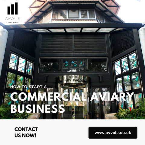 How to start a commercial aviary business plan template