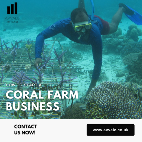 How to start a coral farm  business plan template