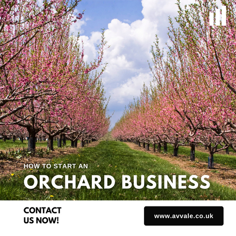 How to start a orchard business plan template