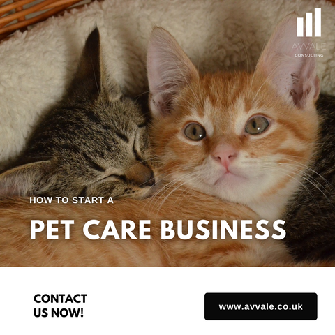 How to start a pet care business plan template