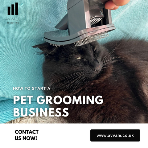 How to start a pet grooming business plan template