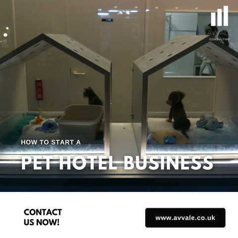 Pet Hotel business plan template