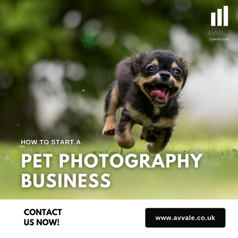 How to start a pet photography business plan template