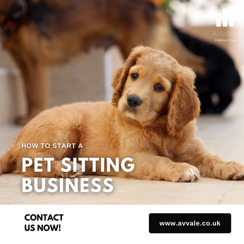 How to start a Pet Sitting Business Plan Template