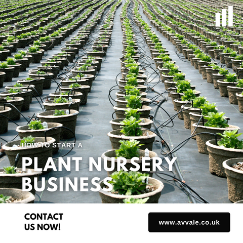 How to start a plant nursery business plan template