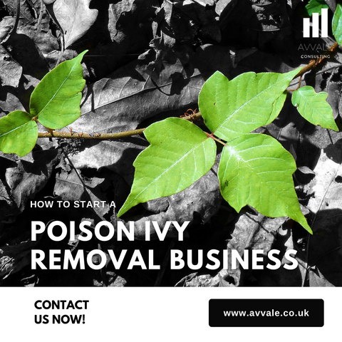 How to start a poison ivy removal business plan template