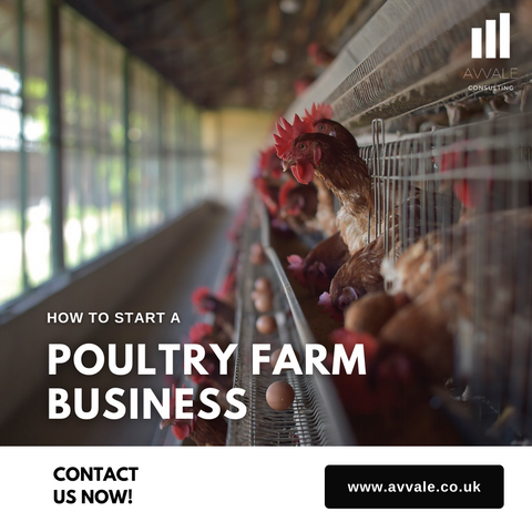 How to start a Poultry Farm Business
