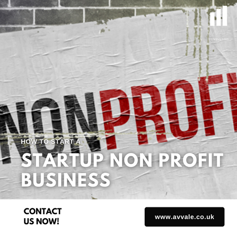How to start a startup non profit business plan template