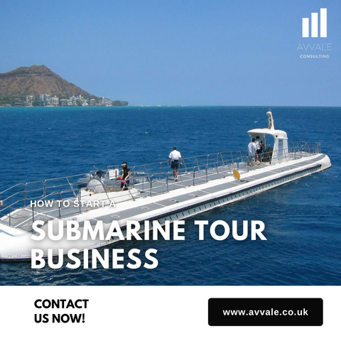 How to start a submarine tour business plan template