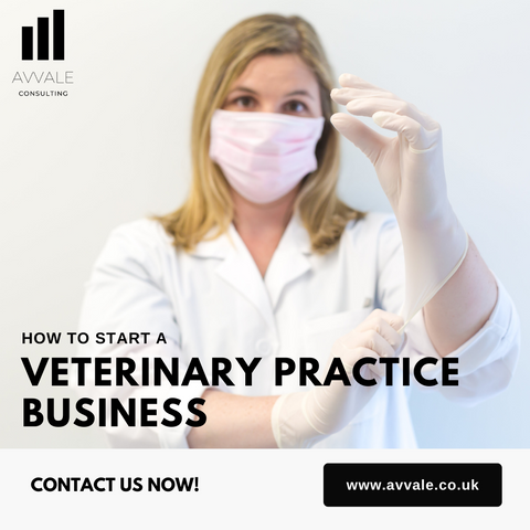 how to start a veterinary practice business plan template