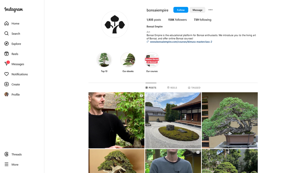 Social Media Strategy for bonsai tree websites 3