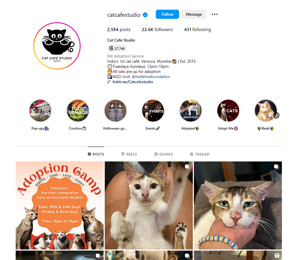 Social Media Strategy for cat cafe websites 2