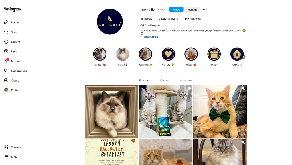 Social Media Strategy for cat cafe websites 3