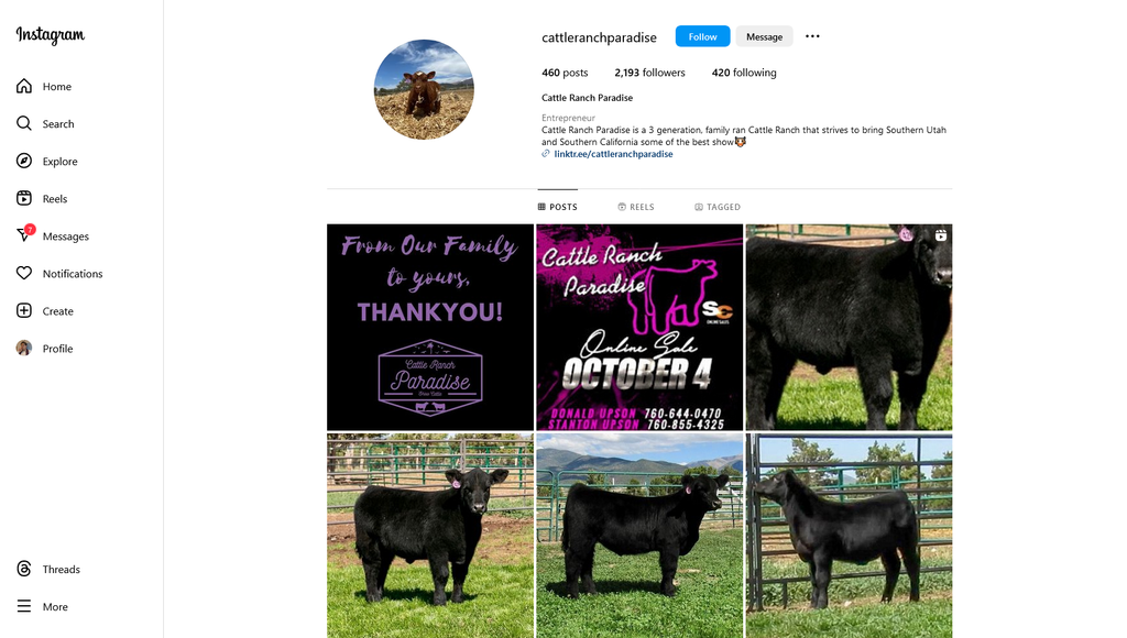 Social Media Strategy for cattle ranch websites 2