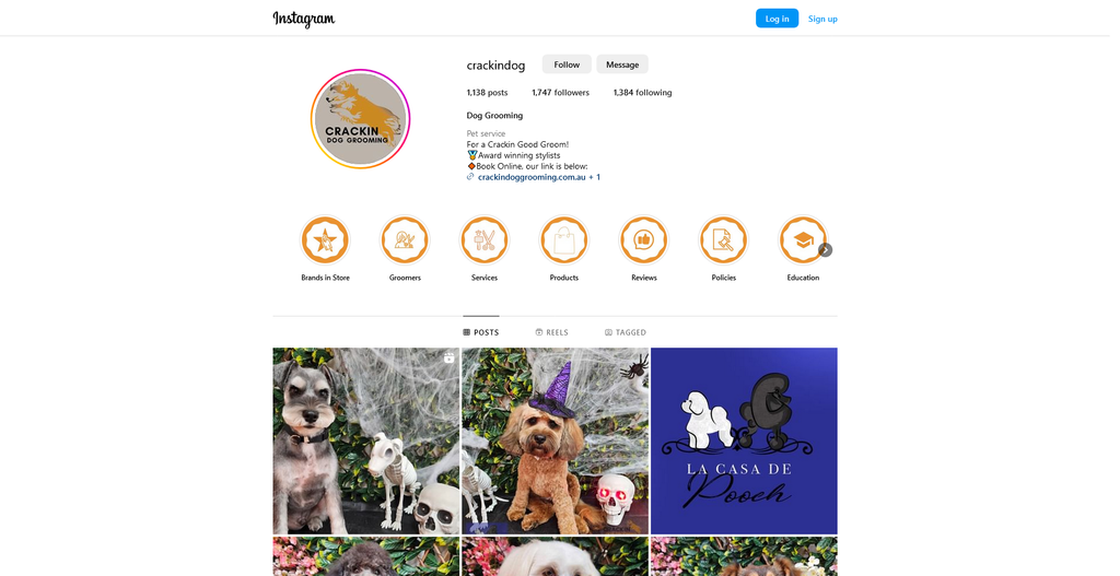 Social Media Strategy for dog grooming websites 4