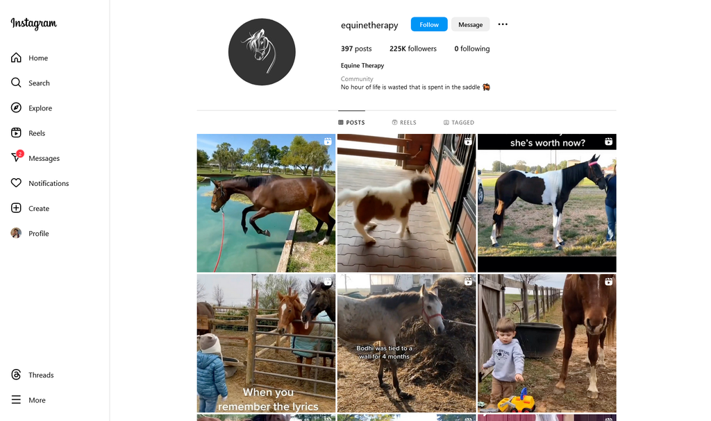Social Media Strategy for equine therapy websites 1