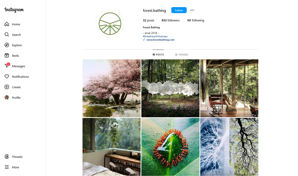 Social Media Strategy for forest bathing websites 4