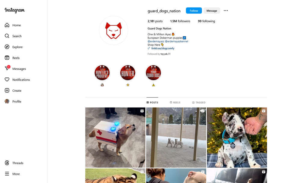 Social Media Strategy for guard dog websites 1