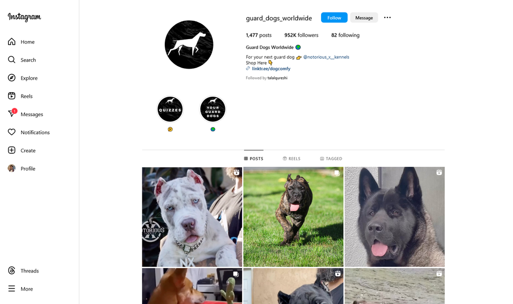 Social Media Strategy for guard dog websites 4