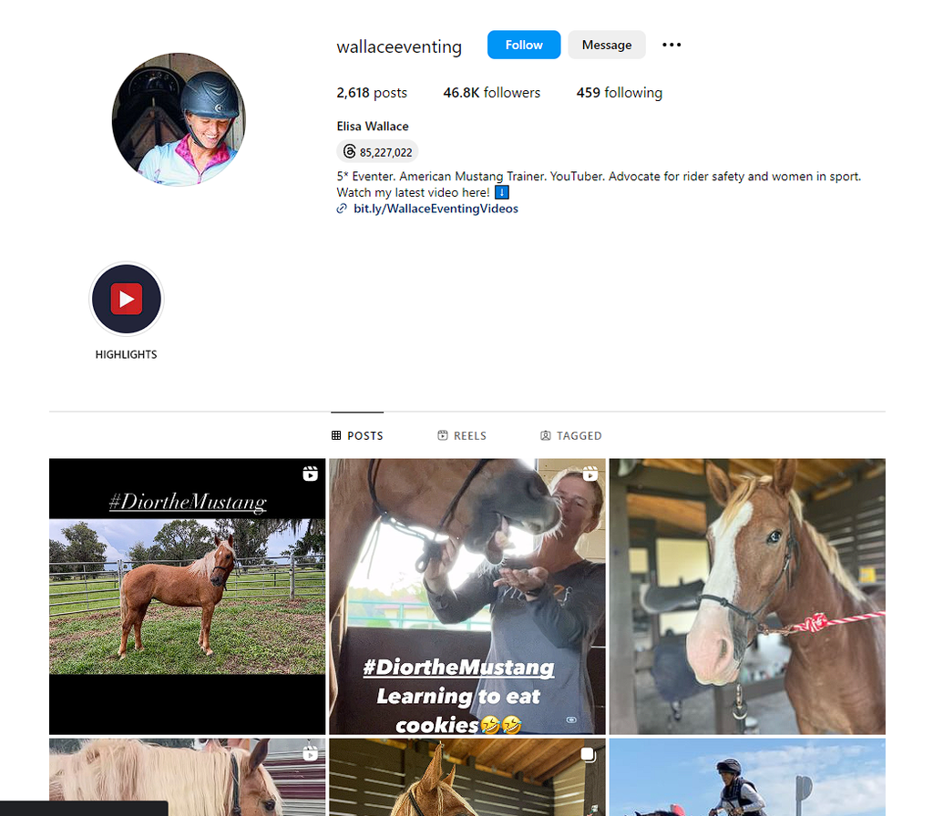 Social Media Strategy for horse training websites 1