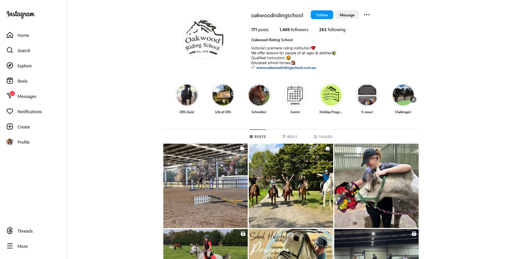 Social Media Strategy for horseback riding lessons websites 2