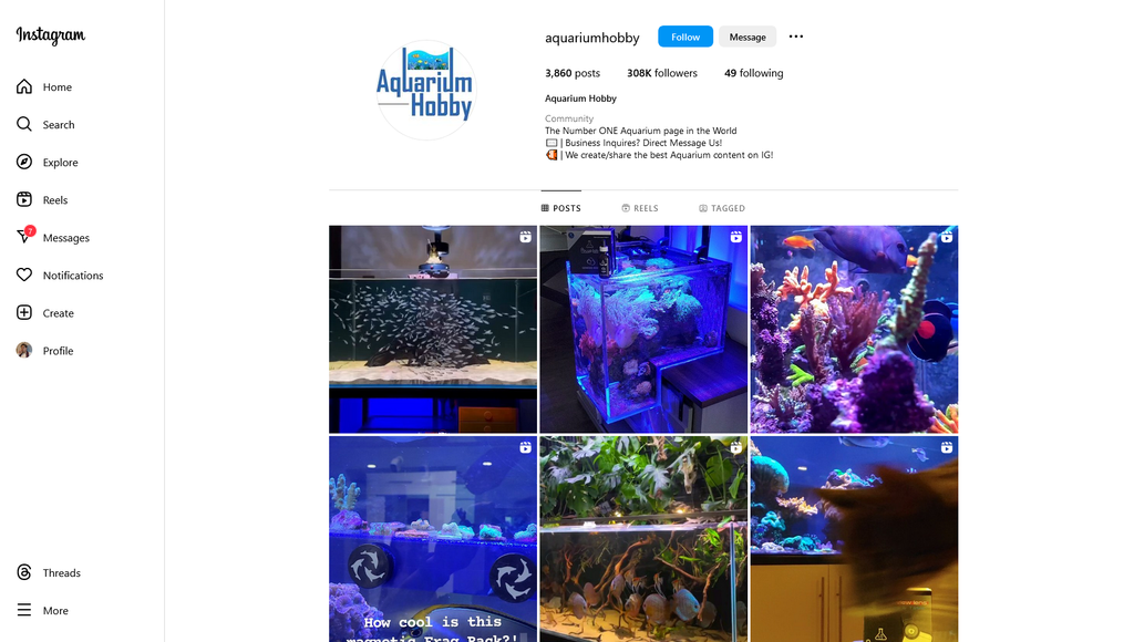 Social Media Strategy for pet fish store websites 3