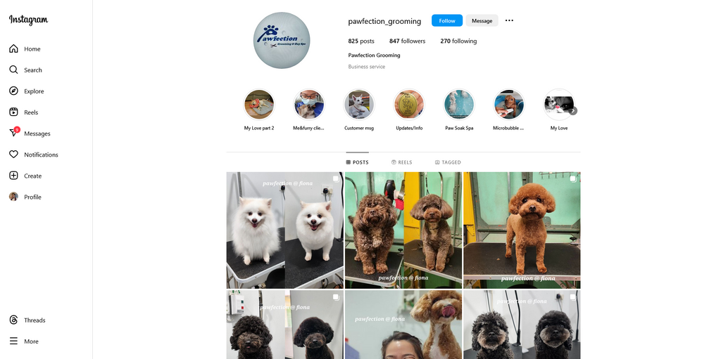 Social Media Strategy for pet grooming websites 2