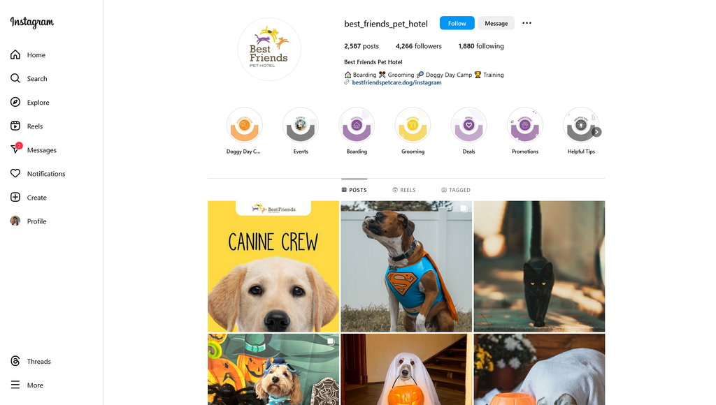 Social Media Strategy for pet hotel websites 4