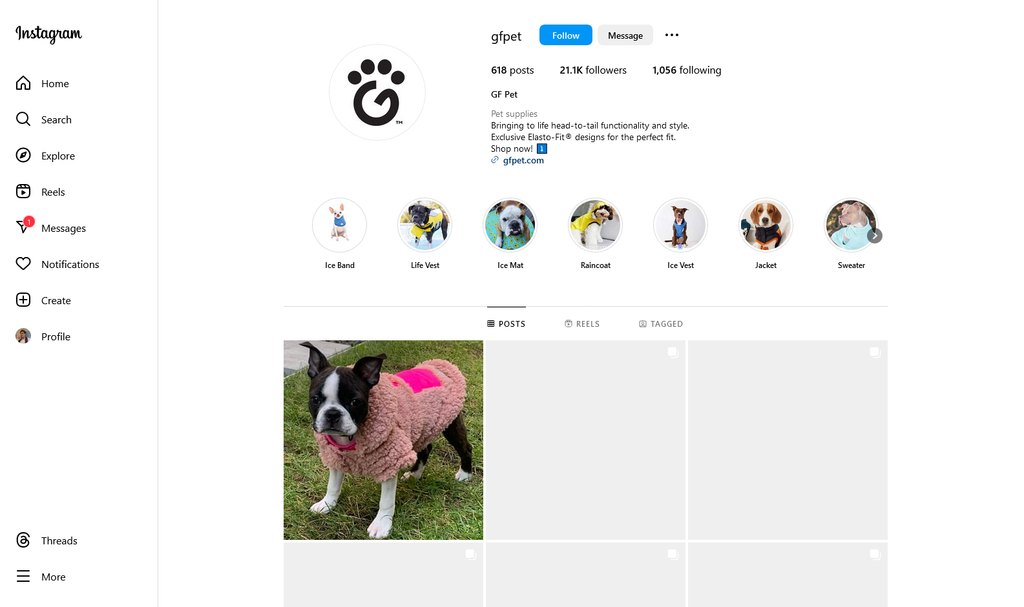 Social Media Strategy for winter pet gear websites 3