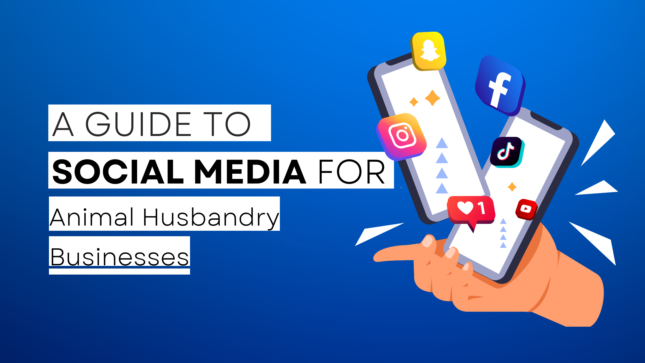 How to start Animal Husbandry  on social media