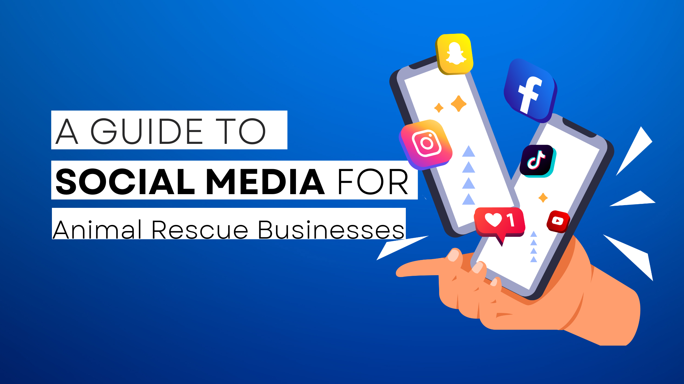 How to start Animal Rescue  on social media