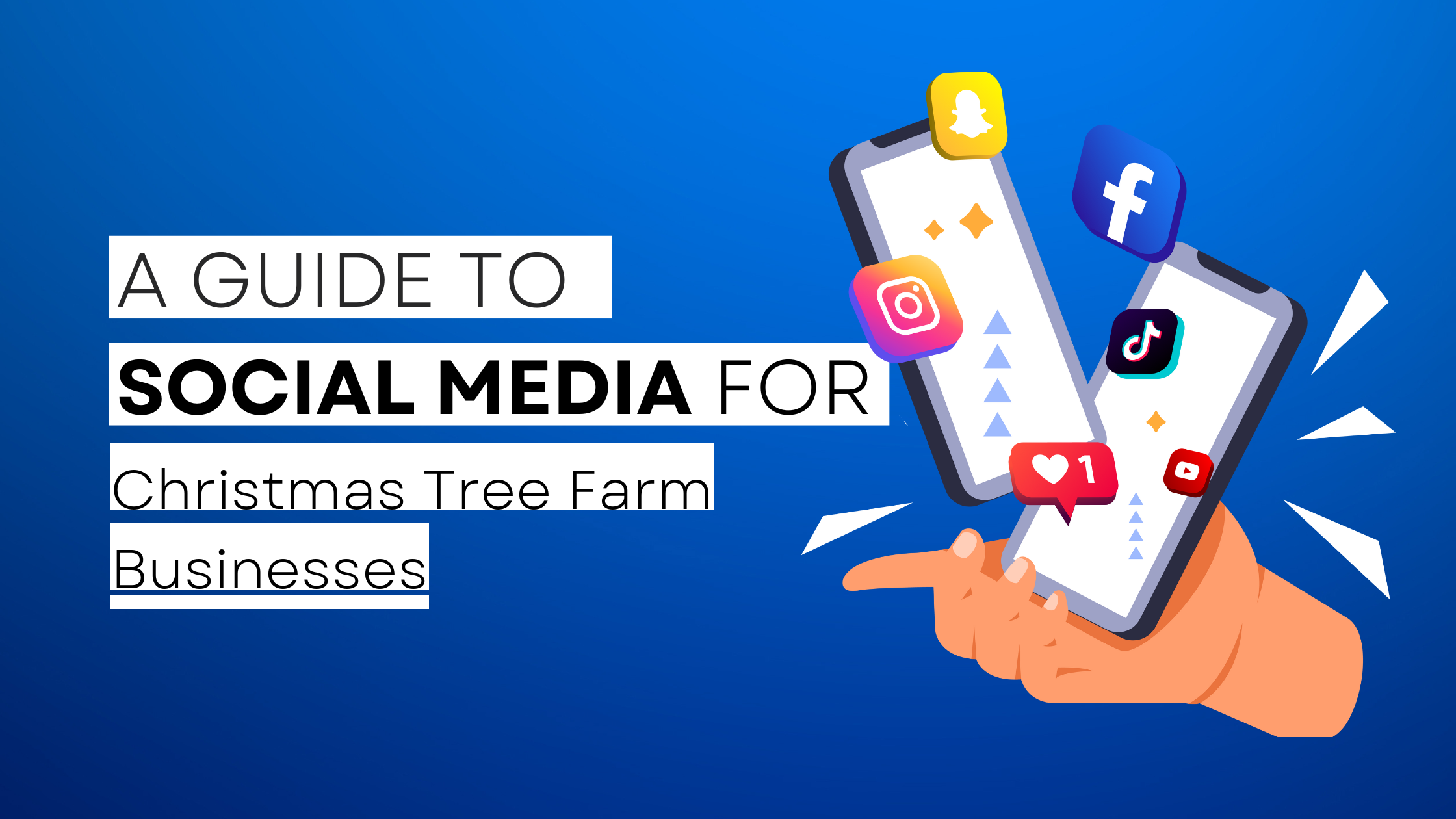 How to start Christmas Tree Farm on social media