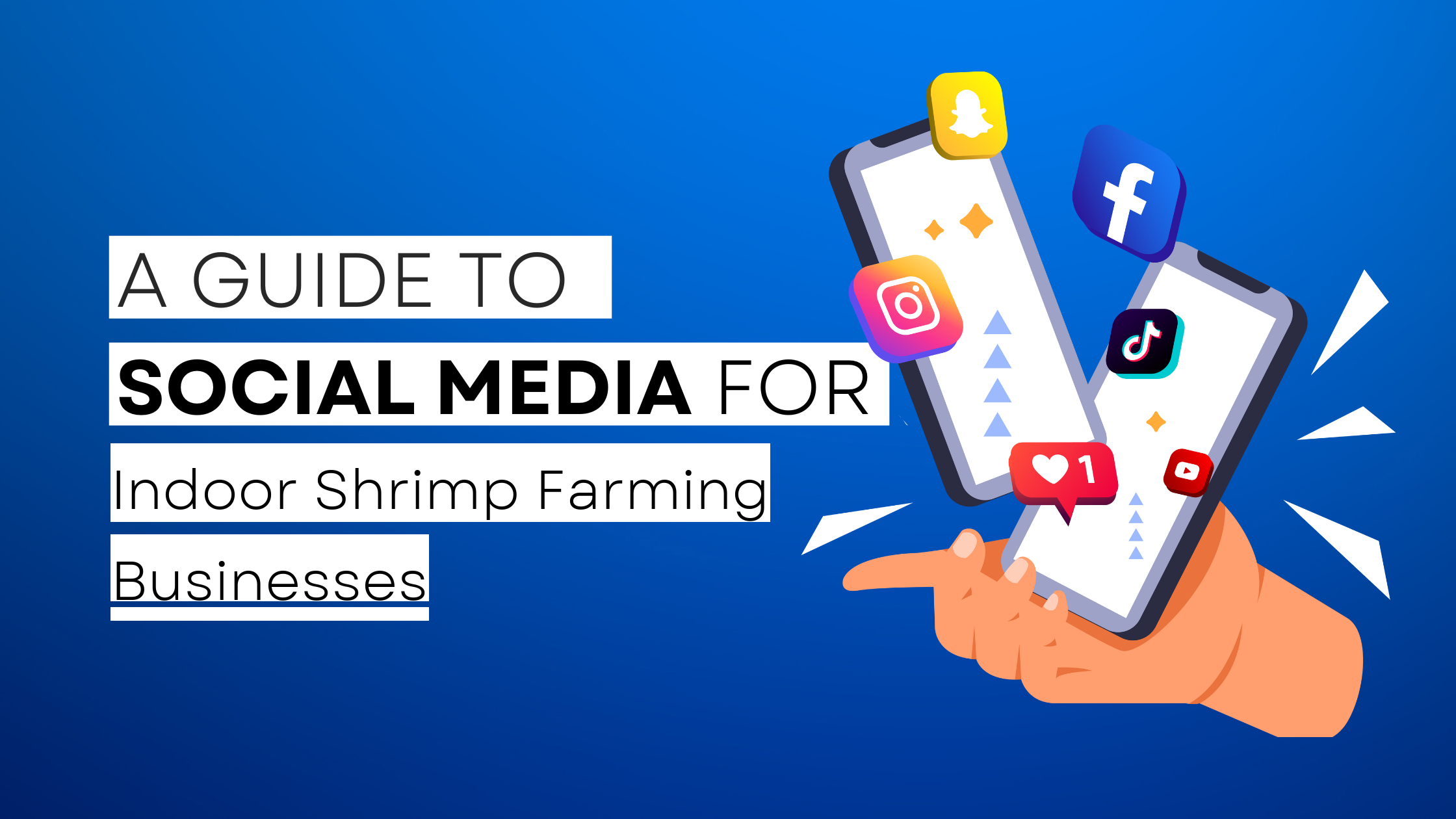 How to start Indoor Shrimp Farming on social media