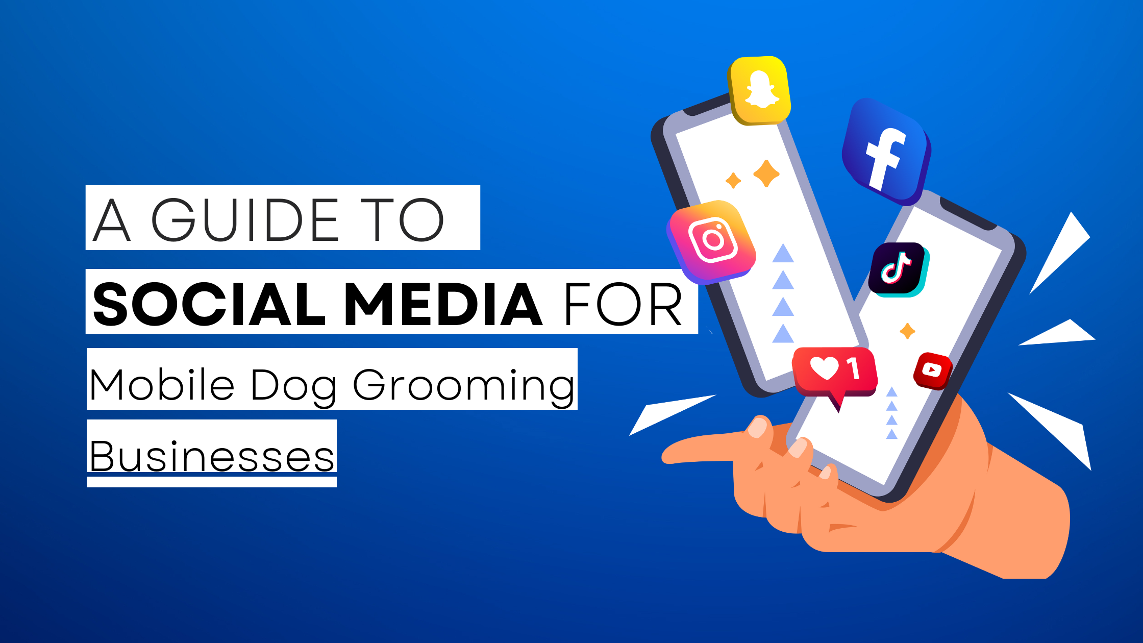 How to start Mobile Dog Grooming  on social media