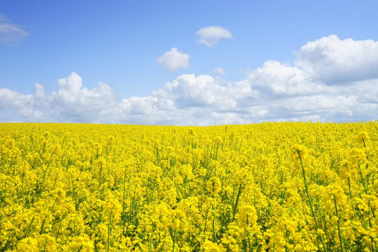 ”agricultural