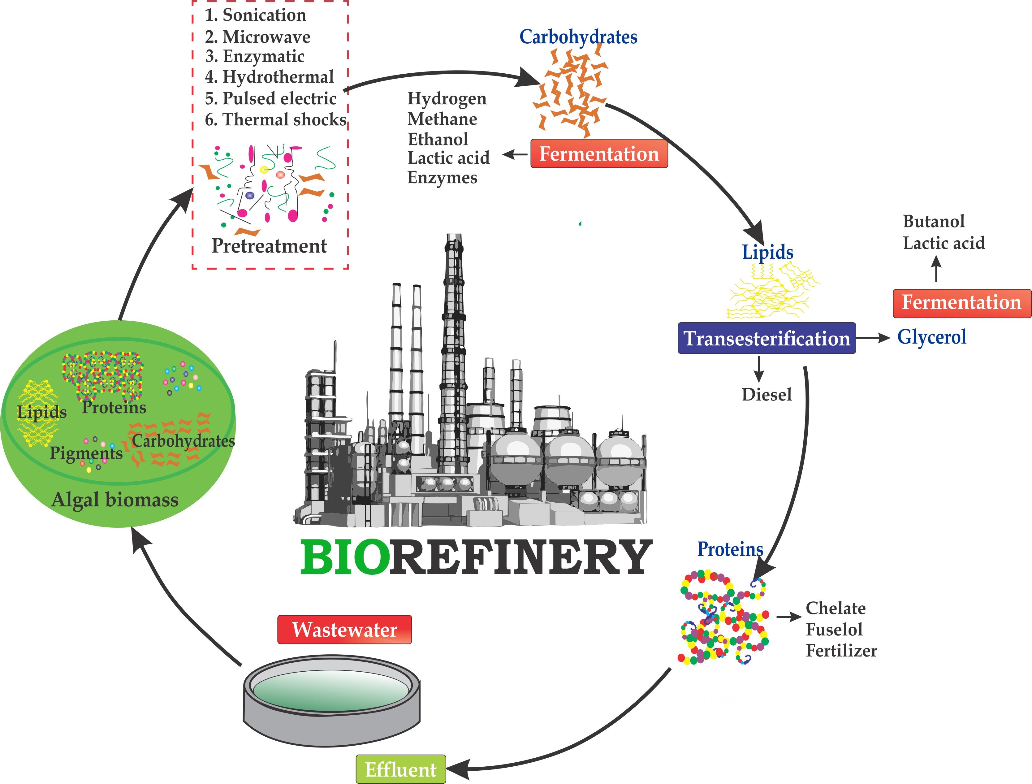 ”biorefinery