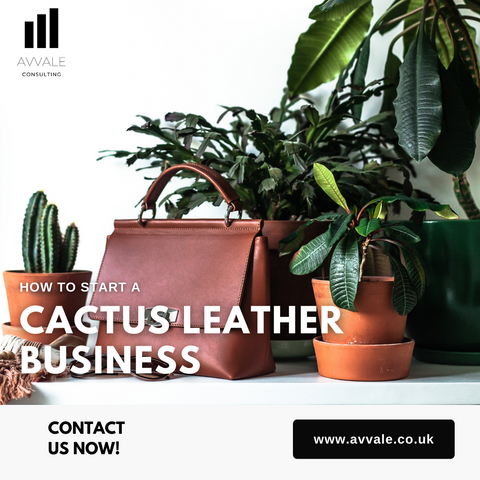 How to start a cactus leather business plan template