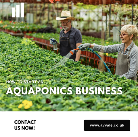 How to start an acquaponics farm business - aquaponics business plan template