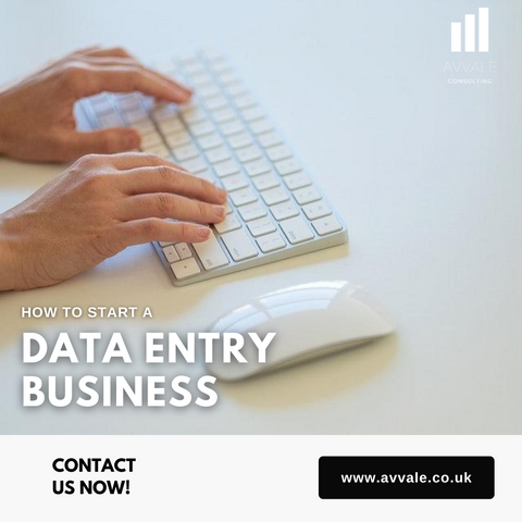 how to start a data entry business plan template