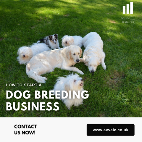 How to start a dog breeding business plan template