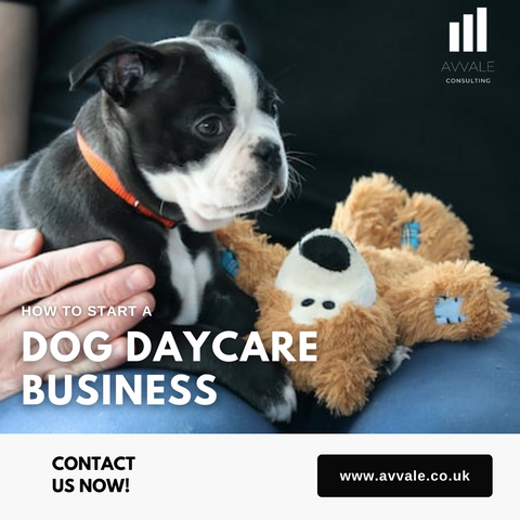 How to start a dog daycare business plan template