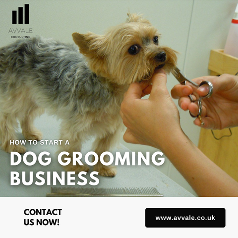 How to start a dog grooming business plan template