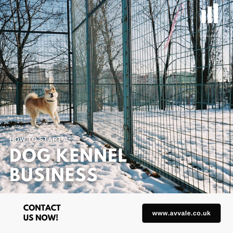 How to start a dog kennel business plan template