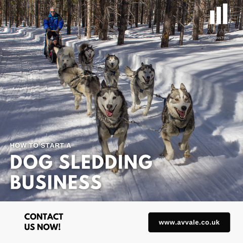 How to start a dog sledding business plan template