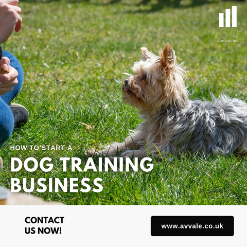 How to start a dog training business plan template